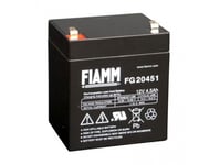 Agi 90498, Slutna Blybatterier (Vrla), Svart, 4500 Mah, 12 V, 1 Styck, Fiamm Fg20451