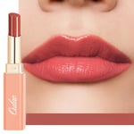 Oulac Rouge à Lèvres Abricot Juteux et Brillant, Soin Pour Les Lèvres, Hydrate les Lèvres Sèches, Gercées et Abîmées, Rouge a Levre et Baume a Levre 2 in 1, Vegan (16) Apricot Crush