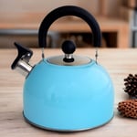 Stovetop Kettle Whistling Spout Sky Blue Stainless Steel Gas Electric Induction