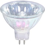 MR16 Halogenlampor 20W 12V GU5.3 Spotlight, 36° Strålvinkel, Dimbar Varmvit Halogenlampa 2-stifts, 4000 timmars livslängd, Dikroisk 6-pack