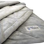 PetFusion Couverture pour Chien Medium Plus (107 x 86 cm). Peluche Micro réversible Gris. [100% Polyester Doux]