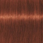 Schwarzkopf Professional Igora Vibrance Kit 6-78 Dark Blonde Copper Red