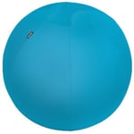 Leitz Ergo Cosy Active Ergonomic Sitting Ball 5279 Carry Handle Washable 65 cm Up to 100 kg Blue