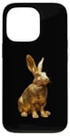 iPhone 13 Pro Rabbit Gold Case