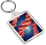 Collagen Triple Helix Molecule Keyring - IP02 - Science Lab Student Gift #16314