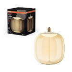 OSRAM Vintage 1906 Big Oval est une décorative à intensité variaben plastique dotée de la technologie magnétique à filament LED. Il propose 12 W, 1800K,E27, design ambre, diamètre 250 mm, CRI 80.