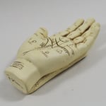 MEDIUM Palmistry Palm Reading Hand Small Mind Antique Style Chiromancy 09001