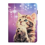 JIan Ying Case for iPad 10.2 / iPad 7th Slim Lightweight Peint Protector Cover Star Cat