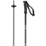 Salomon Arctic Unisex Poles Ski Hiking 110cm