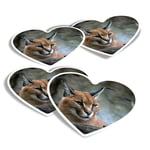 4x Heart Stickers - Caracal African Lynx Cat #3171