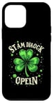 iPhone 12 mini ST AM DIAOCK OPENLN Four-leaf Clover Case