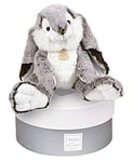 Histoire d'Ours - Peluche Lapin Marius - Collection Les Z'animoos avec Boîte Cadeau - Gris - Taille 40 Cm - Douce et Mignonne - Idée Cadeau de Naissance et Anniversaire Fille et Garçon -‎ HO2297