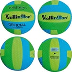 Dimasa - Ballon Volley Taille 5 Poids 260-280 g (DIM04368)