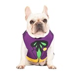 DC Comics DC Comics Costume de Joker pour Chien