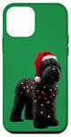 Coque pour iPhone 12 mini Chapeau de Père Noël Terrier Russe Noir Lumières de Noël Propriétaire Chien