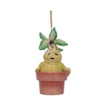 Nemesis Now Harry Potter Mandrake roikkuva koriste 9.5cm