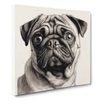 Pug Drawing No.2 Canvas Wall Art Print Ready to Hang, Framed Picture for Living Room Bedroom Home Office Décor, 50x50 cm (20x20 Inch)