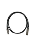 QNAP Mini SAS cable SFF-8644-8088 0.5m