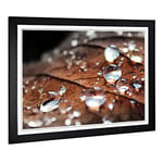 Big Box Art Framed Print of Rain Drops on an Autumn Leaf (3) Design | Wall Art Picture | Home Decor for Kitchen, Living Room, Bedroom, Hallway, Black, A2 / 24.5x18 Inch / 62x45cm