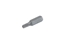 Pro-Line Torx Bit Med Hull T25 25Mm 10Stk - 10679