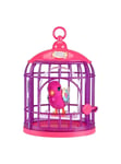 Little Live Pets Lil' Bird & Bird Cage - Tiara Twinkles