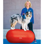 FitPAWS Balansboll för husdjur Trax Peanut 50 cm röd 433837