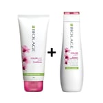 Matrix Biolage ColorLast Shampoo 200ml & Conditioner 196gm Combo Set