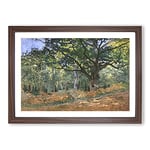 Big Box Art The Bodmer Oak Tree by Claude Monet Framed Wall Art Picture Print Ready to Hang, Walnut A2 (62 x 45 cm)