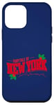 iPhone 12 mini Fairytale Of New York The Pogues Christmas Lyric Case