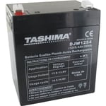 Batterie motoculture TASHIMA 12V, 5,4A adaptable pour CASTELGARDEN, FLYMO et SABO