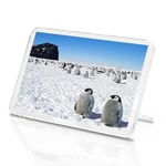 Penguin Classic Fridge Magnet - Penguins North South Pole Wildlife Gift #8895