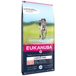 Eukanuba Senior Large Breed Grain Free merikala - säästöpakkaus: 2 x 12 kg