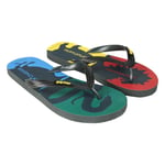 Harry Potter - Hogwarts Houses Premium Flip-Flops - Size 43