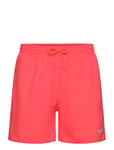 Mens Essential 16" Watershort Coral Speedo