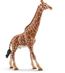 SCHLEICH - Figurine de l'univers des animaux sauvages - Girafe mâle -  - SHL1...