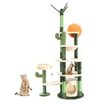 Fudajo - Arbre à chat Vert cactus Hauteur 172cm Maisonnette Abri Hamac Balles Jeu Animal domestique