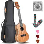 Ukulele Adulte Enfants, Ukulélé Guitare Adulte 23 Pouces, Ukulele Soprano en Bois d'acajou avec Cordes et Sac de Transport Professionnel, Ukulele Concert Guitare Acoustique Adulte, Marron