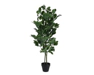 Decoris Everlands Plante en polyéthylène Vert 50 cm de diamètre, 90 cm de Hauteur, Taille Unique