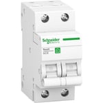 Schneider-Electric Schneider dvärgbrytare Resi9 2-polig (10A 2-pol R9F24210)