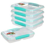 Sistema TO GO Multi Split Meal & Food Prep Containers | 820ml | School Lunch Boxes with Dividers & Clips | BPA-Free | 5 Count