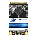 Dogfish Msata 1To Internal Solid State Drive Mini Sata SSD Disk (1To, MSATA)