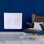 Radiateur électrique à inertie sèche Confort Plus 1000W