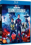 AntMan And The Wasp: Quantumania