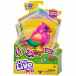 Little Live Pets Bird PIPPY HIPPY Records Repeats and Chirps Sings Brand New