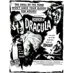 Wee Blue Coo Movie Film Horror Dracula Cushing Vampire USA Art Print Poster Wall Decor 12X16 Inch