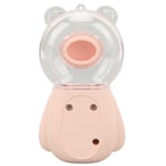 Nano Mist Sprayer Cute Bear Shape 300ML USB Humidifier Skin Moisturizing Facial