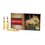 Norma 222Rem V-max 40gr