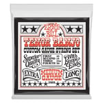 Ernie Ball 2303 Stainless Steel Tenor Banjo Strings Medium