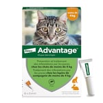 Advantage Chat & Lapin de moins de 4 kg – Pipettes anti puces chat pour prévention des infestations – Traitement anti puces avec protection de 3 à 4 semaines – 6 x 0,4 ml