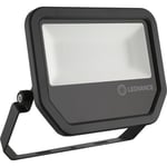 Projektor Floodlight Performance 6000lm 50W 865 IP65 svart